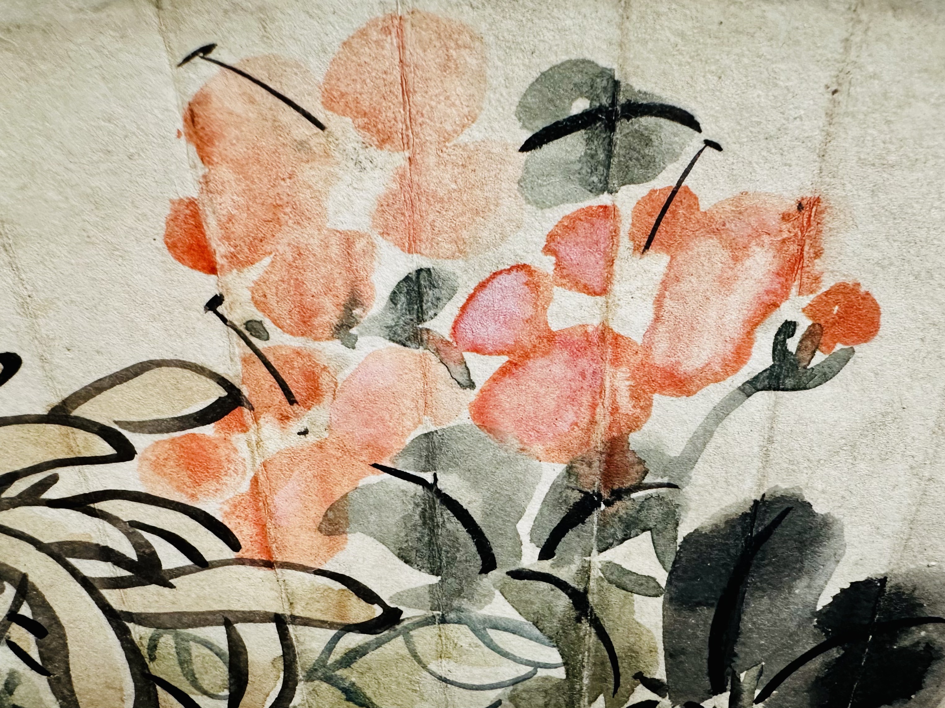 茶花细部