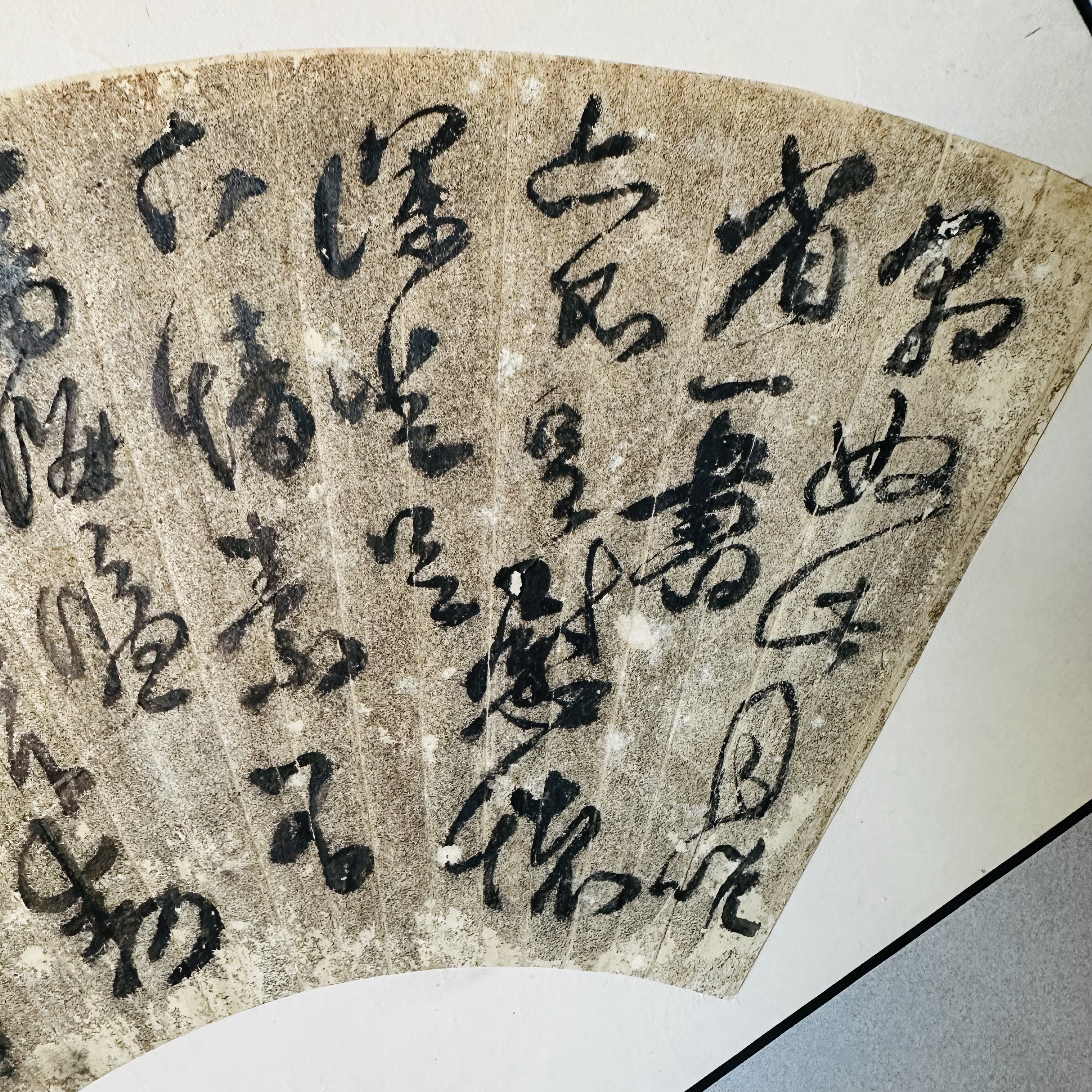 首部